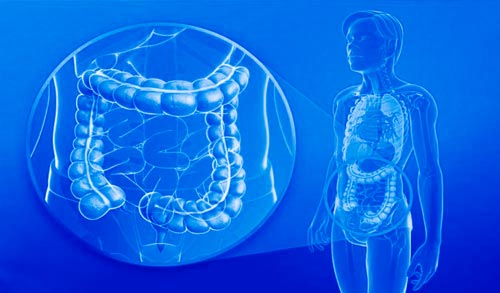 hydrocolontherapy500